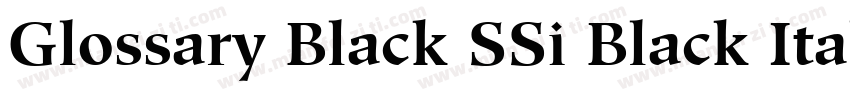 Glossary Black SSi Black Italic字体转换